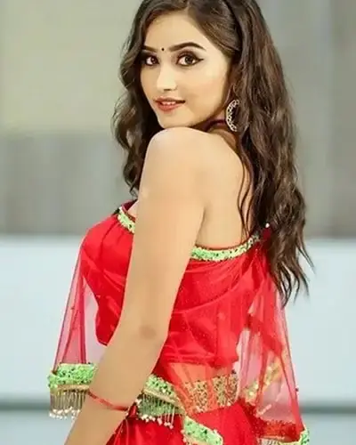 Escort In Mahendergarh